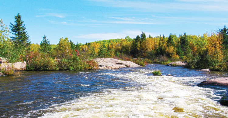 Manitoba Landscape